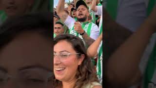 Feel the Energy of Soccer in Medellin! Fútbol games in Colombia are wild.