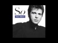 Peter Gabriel - Sledgehammer (HQ)