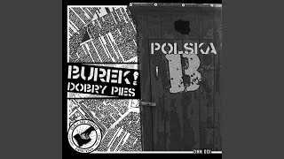 Polska B