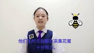 模范生候选人演讲 陈依芬 6U