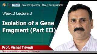 Lec 9: Isolation of a Gene Fragment (Part III)