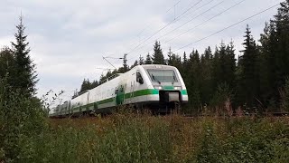 VR S 64 KAJ-HKI Mikkelin ja Hiirolan välillä entisen Tuomaalan tasoristeyksen kohdalla (Km 310+0513)