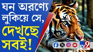 Belpahari Tiger News: বেলপাহাড়ির শিমুলপালে লুকিয়ে বাঘিনী জিনাত, মাইকিং হচ্ছে মুহুর্মুহু!