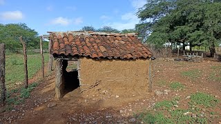 A casa dos bodes / olha o que encontrei no açude