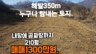 177번)누구나 탐내는 이 가격에 해발350m 아담한 소형토지.