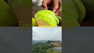 এই লোকটির ফল কাটা দেখলে অবাক হয়ে যাবেন #sorts #amazing #fruit #jebon #viral #youtubeshorts #