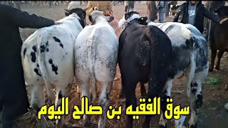 اليوم من سوق الاربعاء الفقيه بن صالح العجل الكسابي والعجلة كسابية وكزاري تاريخ 25/12/2024🐂🐂