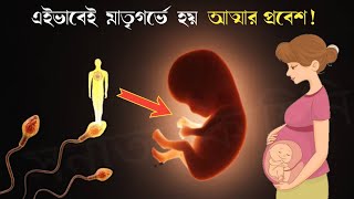 আত্মা কীভাবে ও কখন মাতৃগর্ভে প্রবেশ করে | गर्भ में कैसे घुसती है आत्मा?| How Soul Enters Human Body?