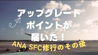 【SFC修行】ANAアップグレードポイントが届いた！使い道は？？