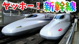 【ほんもの！】ヤッホーしんかんせん のりものソング 新幹線【鉄道PV】