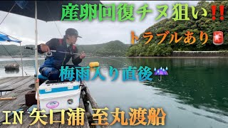 ♯55 産卵回復チヌ狙いで矢口浦の至丸渡船へいざ‼️