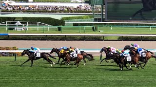 ［蔵出し］【現地】ディープリッチ 戸崎圭太 3歳上1勝C