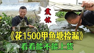 花1500在甲魚塘檢漏，看看到底能不能上貨… #三農 #農村生活 #護外 #小飛哥#抓魚vlog