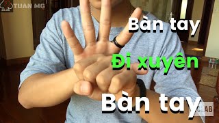 [ ẢO THUẬT ] HƯỚNG DẪN BÀN TAY ĐI XUYÊN  BÀN TAY ( HANDS MAGIC ) | TUAN MG