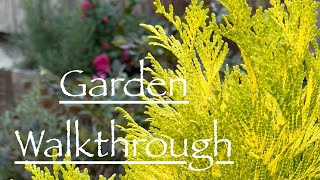 Back Gardens Fall Walk & Talk - Ornamental & Evergreen Trees & Plants 🌲🍂Ep26// Garden Anthropology