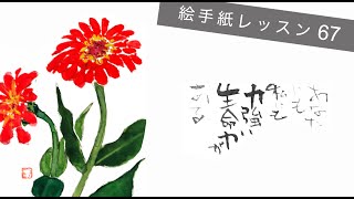 Lesson 67_百日草 (Zinnia)