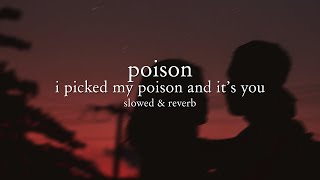 rita ora - poison (tiktok remix) slowed & reverb // lyrics | i picked my poison and it's you