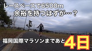 福岡国際マラソンまであと4日　最後の調整練習がキツすぎた…【vlog】