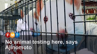 No animal testing here, says Ajinomoto