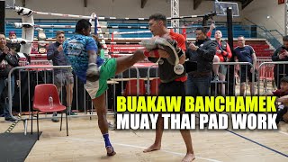 Buakaw Banchamek Muay Thai Pad Work | บัวขาวบัญชาเมฆ