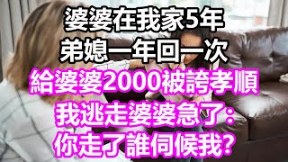 婆婆在我家5年，弟媳一年回一次，給婆婆2000被誇孝順，我丟下手中抹布逃走婆婆急了：你走了誰伺候我？#淺談人生#民間故事#孝顺#儿女#讀書#養生#深夜淺讀#情感故事#房产#晚年哲理#中老年心語#養老