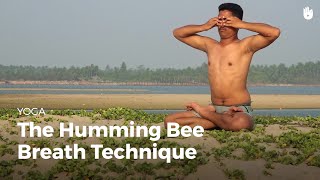 Learn the Humming Bee Breath Technique - Bhramari Pranayama | Yoga