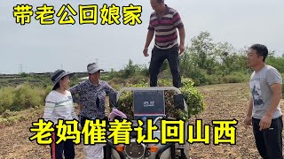 二丫带老公回娘家干活，老妈催着让回山西，二丫：我们心里有打算【二丫生活】