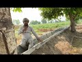 anjum saroya ne lai monji apne farm ty. rice cultivation in punjab