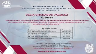 Resultado examen de Grado de Celia Granados Vázquez