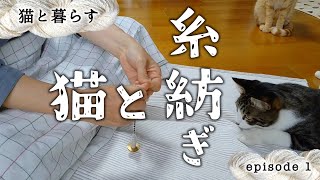 猫の糸紡ぎ見学／猫と暮らす episode 1