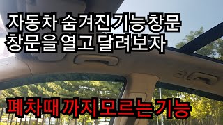 자동차 숨겨진 기능 창문 창문을 열고 달려보자