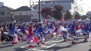 勇舞会（Ⅰ）＠2015　つるせよさこい