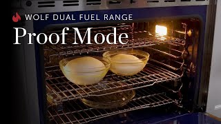 Wolf Dual Fuel Range - Proof Mode