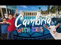 We Bottle Fed a Baby Goat! (Fun Things to do in Cambria | Hearst Castle Tour): Travel With Kids