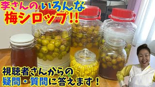 【発酵しても大丈夫？】リーサンのいろんな梅シロップ！視聴者からの疑問にもお答えします！
