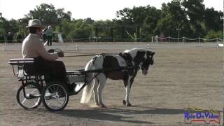 033D Things go VERY wrong in Combined Driving Dressage test!  WSS Vineyard Classic May 2012