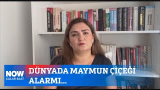 Dünyada maymun çiçeği alarmı... 27 Ağustos 2024 Çalar Saat