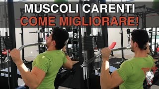 Muscoli carenti: come allenare i gruppi muscolari carenti?