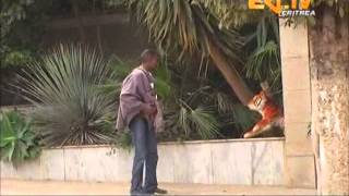 Eritrean Comedy - Hidden Camera - Tiger Prank