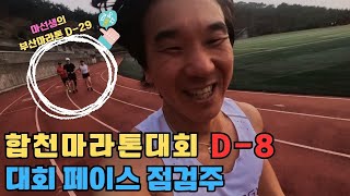 [2024 합천마라톤대회 D-8] PB(3시간49분) 갱신을 위한 대회전 페이스 점검주