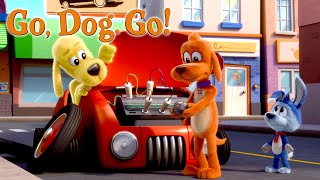 Runaway Car! | GO, DOG. GO! | Netflix
