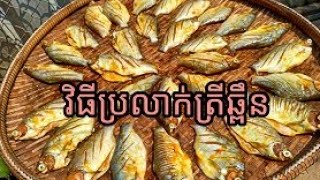 របៀបប្រឡាក់ត្រីឆ្ពិនឱ្យមានឳជារស់ How to stain delicious catfish