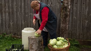 The BEST Romanian SAUERKRAUT ❄️ Whole CABBAGE HEADS Pickled for WINTER ❄️ Varza Murata pt Sarmale🥬