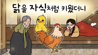 #189 닭을 자식처럼 키웠더니 ( 품삯과 받아 온 병아리 한 마리가 해낸 엄청난 일. 주인을 향한 충정심 ) 민담, 설화, 지혜이야기, 옛날이야기, 달빛 이야기 극장, 인기동화