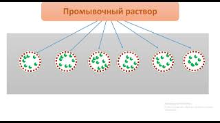 Этапы постановки ИФА