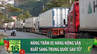 Hàng trăm xe hàng nông sản xuất sang Trung Quốc sau Tết | VTC16