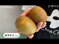 金沢竪町商店街【shop tour】vol.26　フルーツサンド シュシュ 金沢店