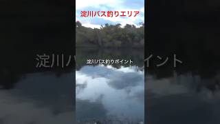 淀川バス釣りポイント！！淀川クイズです〜！！どこの場所かわかるかな？？わかる人は淀川マスター上級者です！わかる方はグッドボタンよろしくお願いします。#shorts #fishing#バス釣り #淀川