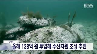 강원도, 올해 138억 원 투입해 수산자원 조성 추진 20240414