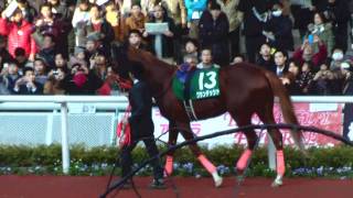 【HD】20111224 阪神11RラジオNIKKEI杯2歳S パドック 3着グランデッツァ